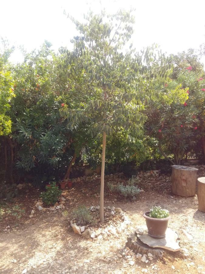 דירות סוטיבאן Manda Ljubetic מראה חיצוני תמונה